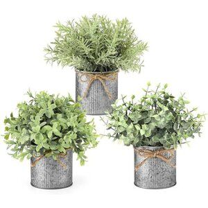 Mini Fake Plants in Farmhouse Galvanized Metal Pots Table Centerpiece Rustic